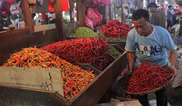 Harga Cabai Di Sungai Penuh Meroket Warga Mengeluh